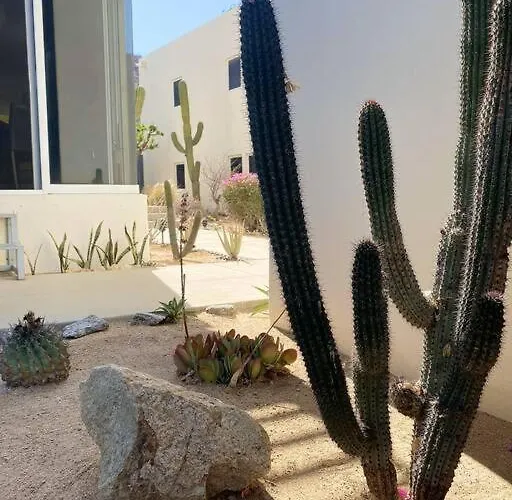 Casa Moderna En Zona Céntrica Ideal Explorar Cabo Apartamento Cabo San Lucas